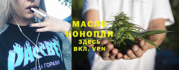 амф Верхний Тагил
