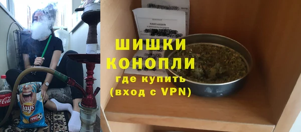 амф Верхний Тагил