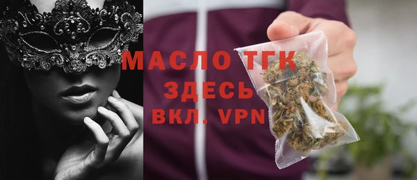 амф Верхний Тагил