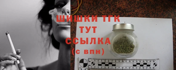 амф Верхний Тагил