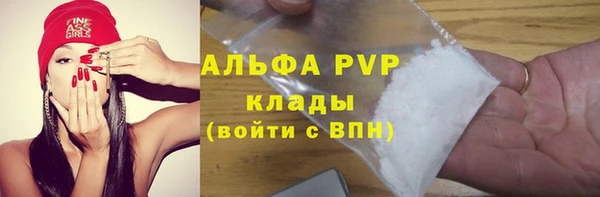 амф Верхний Тагил