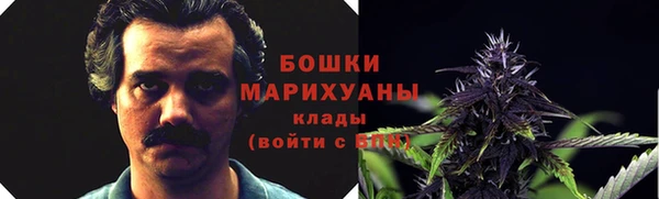 амф Верхний Тагил