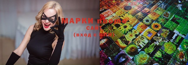 амф Верхний Тагил