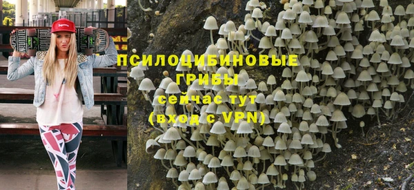 амф Верхний Тагил