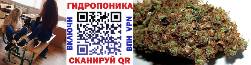 Шишки марихуана Ganja  сайты даркнета официальный сайт  Сегежа  купить наркотики цена 